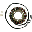 RICK'S MOTORSPORT ELECTRIC STATOR - Driven Powersports Inc.21 - 316