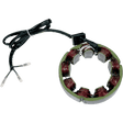 RICK'S MOTORSPORT ELECTRIC STATOR - Driven Powersports Inc.21 - 208
