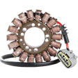 RICK'S MOTORSPORT ELECTRIC STATOR - Driven Powersports Inc.21 - 410