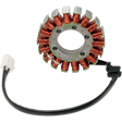 RICK'S MOTORSPORT ELECTRIC STATOR - Driven Powersports Inc.21 - 227