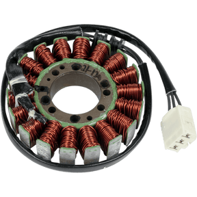 RICK'S MOTORSPORT ELECTRIC STATOR - Driven Powersports Inc.21 - 120