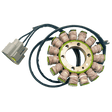 RICK'S MOTORSPORT ELECTRIC STATOR - Driven Powersports Inc.21 - 038