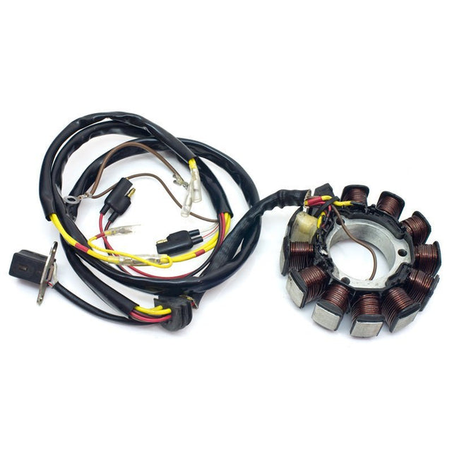 RICK'S MOTORSPORT ELECTRIC STATOR (21 - 552) - Driven Powersports Inc.21 - 55221 - 552