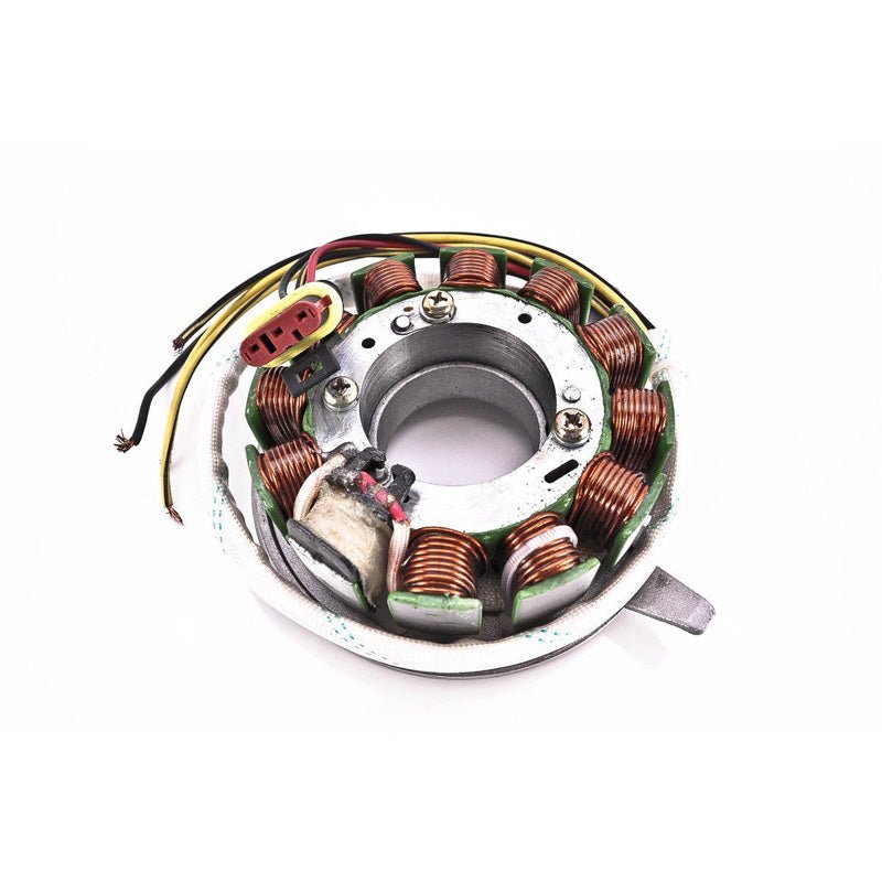 RICK'S MOTORSPORT ELECTRIC STATOR (24 - 102) - Driven Powersports Inc.24 - 10224 - 102