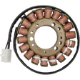 RICK'S MOTORSPORT ELECTRIC STATOR - Driven Powersports Inc.21 - 005