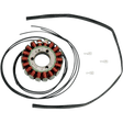 RICK'S MOTORSPORT ELECTRIC STATOR - Driven Powersports Inc.21 - 309