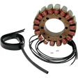 RICK'S MOTORSPORT ELECTRIC STATOR - Driven Powersports Inc.21 - 023