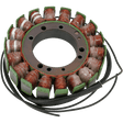 RICK'S MOTORSPORT ELECTRIC STATOR - Driven Powersports Inc.21 - 411