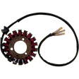 RICK'S MOTORSPORT ELECTRIC STATOR - Driven Powersports Inc.21 - 203