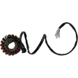RICK'S MOTORSPORT ELECTRIC STATOR - Driven Powersports Inc.21 - 302