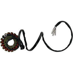 RICK'S MOTORSPORT ELECTRIC STATOR - Driven Powersports Inc.21 - 302