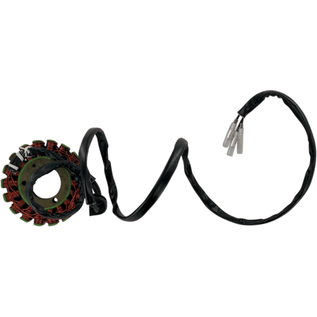 RICK'S MOTORSPORT ELECTRIC STATOR - Driven Powersports Inc.21 - 302