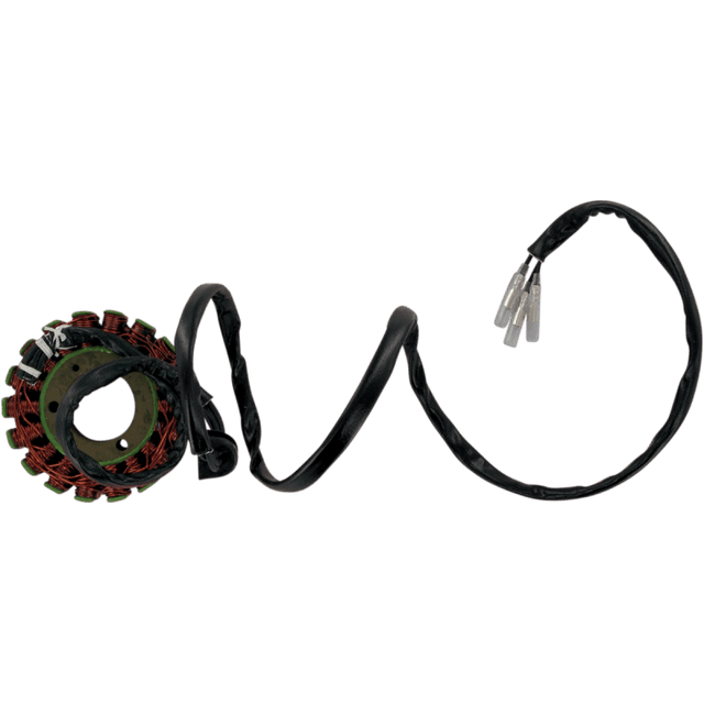 RICK'S MOTORSPORT ELECTRIC STATOR - Driven Powersports Inc.21 - 302