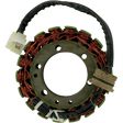 RICK'S MOTORSPORT ELECTRIC STATOR - Driven Powersports Inc.21 - 102