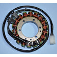 RICK'S MOTORSPORT ELECTRIC STATOR (21 - 105) - Driven Powersports Inc.21 - 10521 - 105