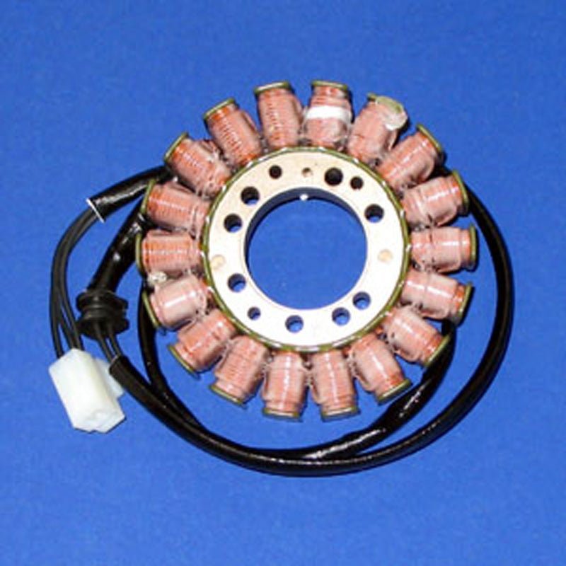 RICK'S MOTORSPORT ELECTRIC STATOR (21 - 011) - Driven Powersports Inc.21 - 01121 - 011