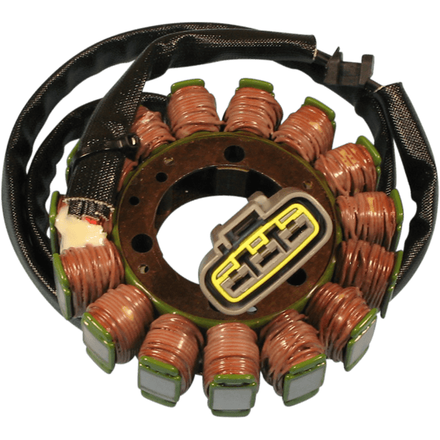 RICK'S MOTORSPORT ELECTRIC STATOR - Driven Powersports Inc.21 - 234