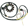 RICK'S MOTORSPORT ELECTRIC STATOR (21 - 556) - Driven Powersports Inc.21 - 55621 - 556