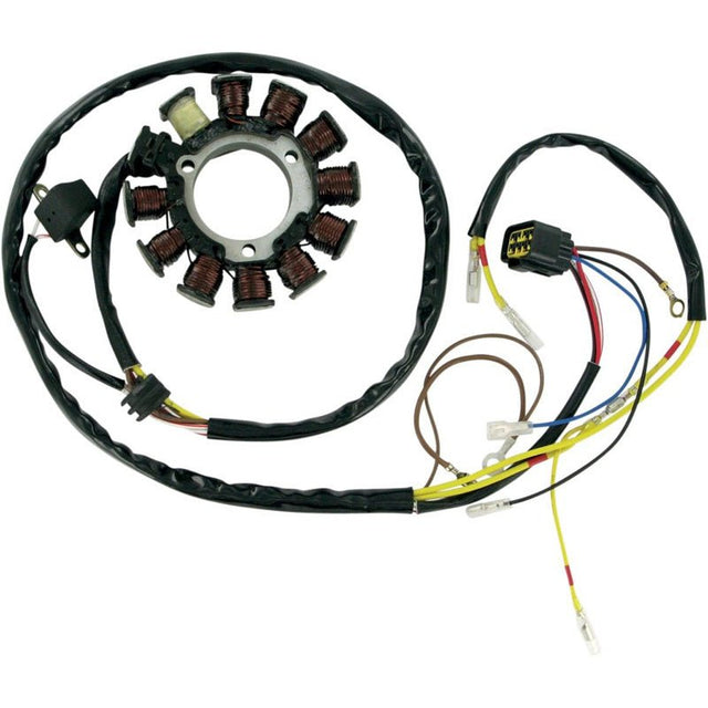 RICK'S MOTORSPORT ELECTRIC STATOR (21 - 556) - Driven Powersports Inc.21 - 55621 - 556
