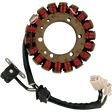 RICK'S MOTORSPORT ELECTRIC STATOR - Driven Powersports Inc.21 - 312H