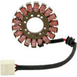 RICK'S MOTORSPORT ELECTRIC STATOR - Driven Powersports Inc.21 - 418