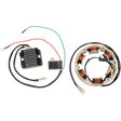 RICK'S MOTORSPORT ELECTRIC STATOR - Driven Powersports Inc.99 - 101