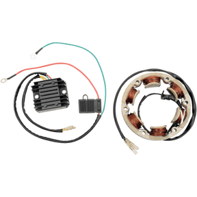 RICK'S MOTORSPORT ELECTRIC STATOR - Driven Powersports Inc.99 - 101
