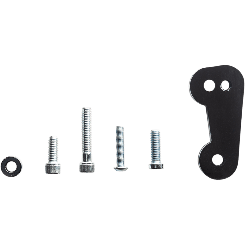 RINEHART RACING 18 - 19 SOFTAIL PASS PEG RELOCATION - Driven Powersports Inc.HK - M8STPEG