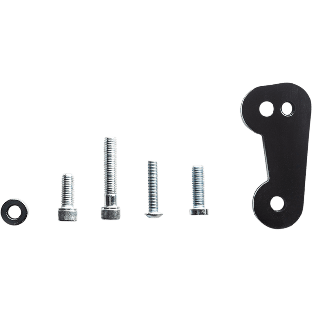 RINEHART RACING 18 - 19 SOFTAIL PASS PEG RELOCATION - Driven Powersports Inc.HK - M8STPEG