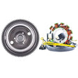 RMS Flywheel + Stator (Polaris) - DRIVEN Canada's Powersports RMS900-104043