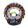RMS Stator (BMW) - DRIVEN Canada's Powersports RMS010-103250