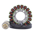RMS Stator (Honda) - DRIVEN Canada's Powersports RM01428