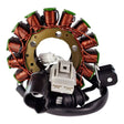 RMS Stator (Yamaha) - DRIVEN Canada's Powersports RM01191