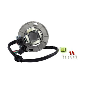 RMS Stator (Yamaha) - DRIVEN Canada's Powersports RMS010-108281