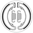 SBS BRAKE SHOES WITH SPRINGS (5192070100) - DRIVEN Canada's Powersports 5192070100
