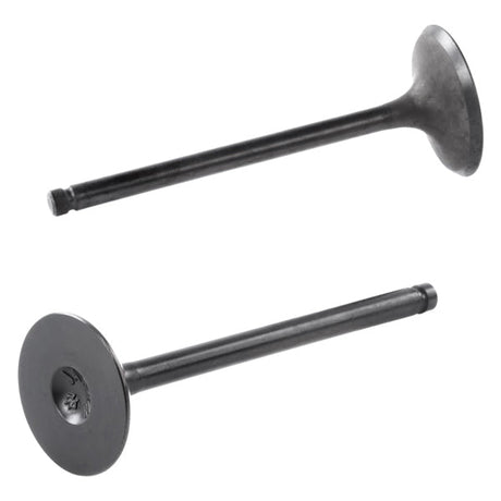 Shindy Engine Valve Kit - DRIVEN Canada's Powersports 0720507-205