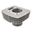 Shindy Motor Cylinder - DRIVEN Canada's Powersports 05-01105-011