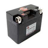 SHORAI FX09A2 - BS12 BATTERY (LFX09A2 - BS12) - Driven Powersports Inc.4897034420036LFX09A2 - BS12