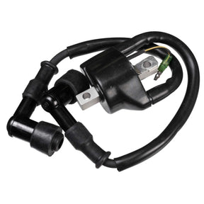 Sierra Ignition Coil (18 - 5166) - DRIVEN Canada's Powersports 80828234294418-5166