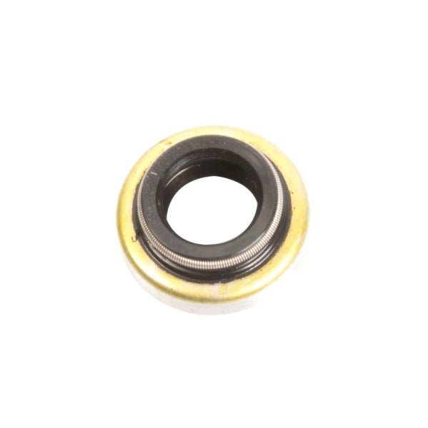 Sierra Oil Seal - DRIVEN Canada's Powersports 03099931019418-2068