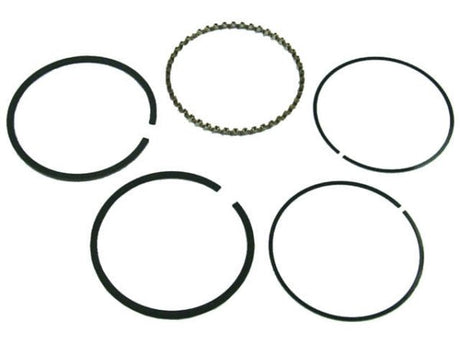Sierra Piston Ring Set - DRIVEN Canada's Powersports 03099997599718-3937