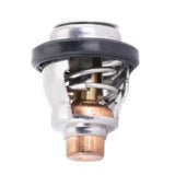 Sierra Thermostat 18 - 3684 - DRIVEN Canada's Powersports 80828238326818-3684