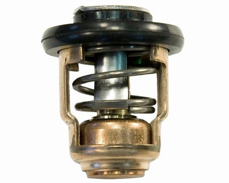 Sierra Thermostat - DRIVEN Canada's Powersports 80828223097518-3540