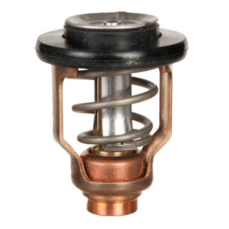 Sierra Thermostat - DRIVEN Canada's Powersports 80828236081818-3632