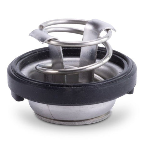 Sierra Water Pressure Valve - DRIVEN Canada's Powersports 80828238327518-3685