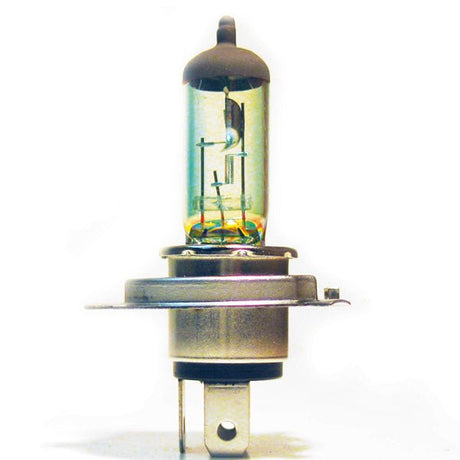 SPX BULB - DRIVEN Canada's Powersports 68257702832001 - 165 - 04B