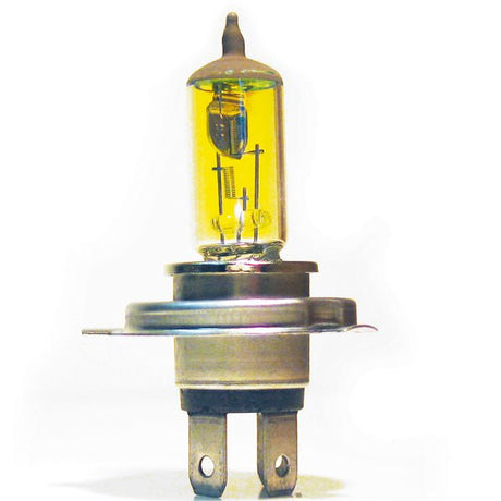 SPX BULB - DRIVEN Canada's Powersports 68257702833701 - 165 - 04G