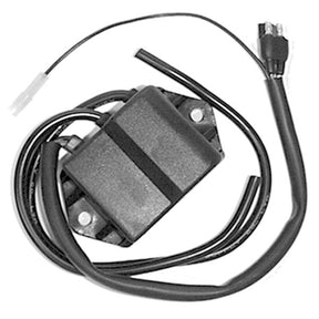 SPX CDI IGNITION BOX (01 - 404) - DRIVEN Canada's Powersports 68257702706401 - 404