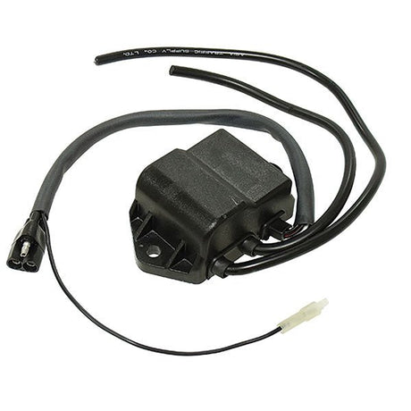 SPX CDI IGNITION BOX (01 - 407 - 01) - DRIVEN Canada's Powersports 68257702704001 - 407 - 01