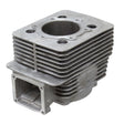 SPX ENGINE CYLINDER (SM - 09607) - DRIVEN Canada's Powersports SM - 09607